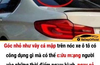 Góc nhỏ như vây cá mập trên nóc xe ô tô có công dụng gì mà có thể c:ứu m:ạng người vào những thời điểm ng:uy kị:ch, ngay cả tài xế kinh nghiệm cũng không hiểu