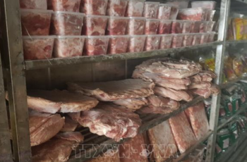 Phát hiện hơn 1.400kg thực phẩm không rõ nguồn gốc tại Bình Dương