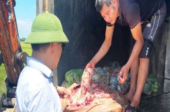 Chở hơn 1 tạ nội tạng trâu, bò bốc mùi đi bán cho các quán ăn