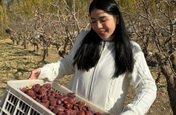 Sự lụi tàn của trend táo đỏ: Bạn đã đổ bao nhiêu tiền vào đây rồi?