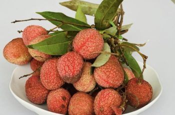 Ăn hơn 100 quả vải, người phụ nữ phải nhập viện cấp cứu
