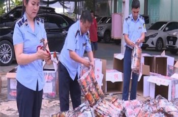 Tiêu hủy gần 2.000 gói bim bim giả mạo nhãn hiệu “Tăm cay Bà Tuyết” Tiêu hủy gần 2.000 gói bim bim giả mạo nhãn hiệu “Tăm cay Bà Tuyết”