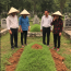 Ở làng Đông, nhà họ Nguyễn vốn là một dòng họ lớn, đông con cháu, nổi tiếng hiếu thảo và đoàn kết