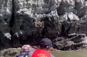 Ông bố trẻ Quảng Ninh mất tích khi đi tắm biển, con trai đứng đợi lạc lõng trên bờ đến đêm