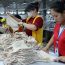 Người lao động được nghỉ hưu ở tuổi 40 trong trường hợp nào?