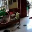 Con nằm một mình trên võng, mẹ Việt xem camera thì nghẹn ngào khi thấy hành động của shipper
