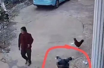 Cháu 1 tuổi đuối nước trong xô, bà nội đi qua tìm 10 lần không phát hiện: Camera ghi lại diễn biến đau lòng