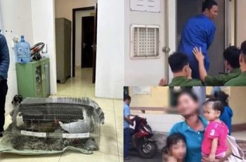 Vụ án “gà lôi trắng”: Bị cáo Thái Khắc Thành được trở về nhà, cấm đi khỏi nơi trú