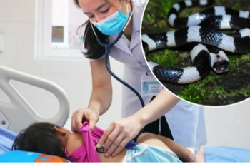 Thấy con rắn sọc đen trắng bò ngang qua người, gia đình tức tốc đưa bé gái đi cấp cứu