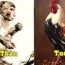 Tháng 7 âm lịch đ:ánh bại cô hồn: 3 con giáp hừng hực khí thế, bội thu tài lộc bất ngờ
