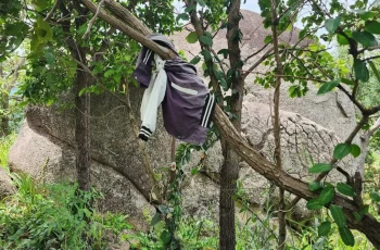 Bộ xương khô trên núi ở Gia Lai: Đã có người thân đến nhận