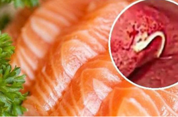 Những loại thực phẩm quen thuộc là ‘ổ chứa vi khuẩn’ khi ăn cần cực kỳ thận trọng