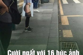 Cười ngất với 16 bức ảnh chụp đúng thời điểm