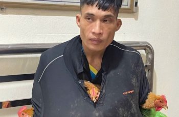 Bắt kẻ trộm gà với màn ngụy trang ‘có một không hai’ khiến ai cũng ngỡ ngàng