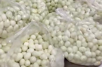 Phụ huynh Hà Nội phát hiện thịt, trứng cút bốc mùi tuồn vào trường học Phụ huynh Hà Nội phát hiện thịt, trứng cút bốc mùi tuồn vào trường học