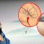 Tại sao người xưa lại nói: ‘Nhất gái lông tay, nhì trai lông bụng’?