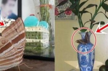 Nhà có 6 dấu hiệu này chứng tỏ thổ địa có lộc, càng ở càng may, đừng dại mà bán đi