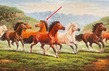 Vì sao trong bức tranh ‘Mã đáo thành công’ luôn có 1 con ngựa quay đầu nhìn lại