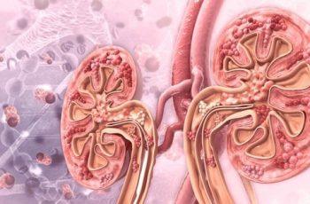 6 cách đào thải axit uric tự nhiên nhưng không phải ai cũng biết: Hỗ trợ phòng gout và bảo vệ thận 6 cách đào thải axit uric tự nhiên nhưng không phải ai cũng biết: Hỗ trợ phòng gout và bảo vệ thận