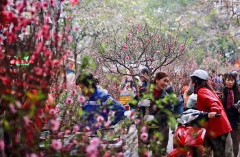 Bộ Tài chính thông tin về việc tặng quà toàn dân dịp Tết Bộ Tài chính thông tin về việc tặng quà toàn dân dịp Tết