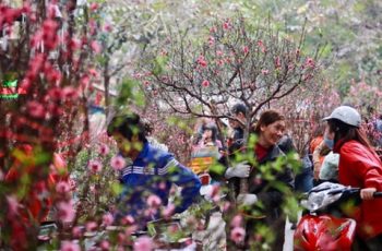 Thay đổi lịch nghỉ Tết Nguyên đán 2026? Thay đổi lịch nghỉ Tết Nguyên đán 2026?