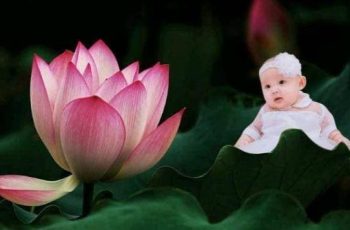 Trẻ sinh vào 5 ngày âm lịch: Con trai là Thần Tài, con gái là Đại gia, cha mẹ nở mày nở mặt Trẻ sinh vào 5 ngày âm lịch: Con trai là Thần Tài, con gái là Đại gia, cha mẹ nở mày nở mặt