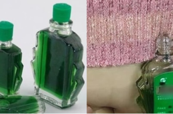 Trước khi ngủ, nhỏ 1 giọt dầu gió vào rốn, sau 7 ngày, cơ thể có 3 thay đổi rõ rệt Trước khi ngủ, nhỏ 1 giọt dầu gió vào rốn, sau 7 ngày, cơ thể có 3 thay đổi rõ rệt