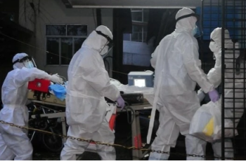 Virus Nipah bùng phát ở Ấn Độ, TP.HCM ra thông báo mới Virus Nipah bùng phát ở Ấn Độ, TP.HCM ra thông báo mới