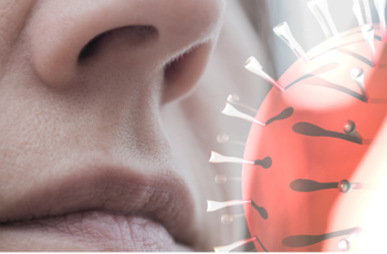 Infographic: Người nhiễm virus Nipah có triệu chứng ban đầu như thế nào? Infographic: Người nhiễm virus Nipah có triệu chứng ban đầu như thế nào?