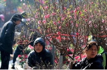 Dự báo mới nhất xu thế thời tiết Tết Nguyên đán Bính Ngọ 2026 Dự báo mới nhất xu thế thời tiết Tết Nguyên đán Bính Ngọ 2026