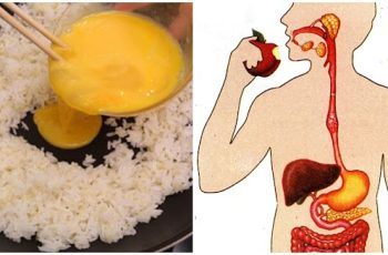 3 bữa sáng “ưa thích của tế bào UT”, 90% người Việt đang ăn hàng ngày mà không biết 3 bữa sáng “ưa thích của tế bào UT”, 90% người Việt đang ăn hàng ngày mà không biết