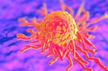 Nếu ‘bộ phận’ này của cơ thể bị đau, đó có thể là ‘tế bào UT’ sắp thức giấc, đừng bỏ qua! Nếu ‘bộ phận’ này của cơ thể bị đau, đó có thể là ‘tế bào UT’ sắp thức giấc, đừng bỏ qua!