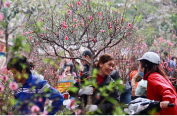 Thay đổi lịch nghỉ Tết Nguyên đán 2026? Thay đổi lịch nghỉ Tết Nguyên đán 2026?