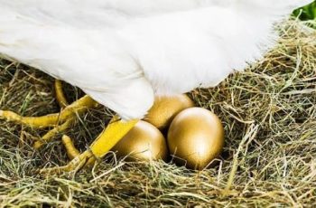 6 hiện tượng xuất hiện trong nhà vào năm mới chính là ‘điềm lành’, báo hiệu gia đình sắp có hỷ sự, thêm người thêm của 6 hiện tượng xuất hiện trong nhà vào năm mới chính là ‘điềm lành’, báo hiệu gia đình sắp có hỷ sự, thêm người thêm của