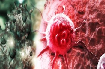 Cả thế giới mở tiệc ăn mừng vì mới phát hiện ra loại rau có khả năng chống UT gấp trăm lần thuốc đặc trị , ở VN mọc đầy ra Cả thế giới mở tiệc ăn mừng vì mới phát hiện ra loại rau có khả năng chống UT gấp trăm lần thuốc đặc trị , ở VN mọc đầy ra